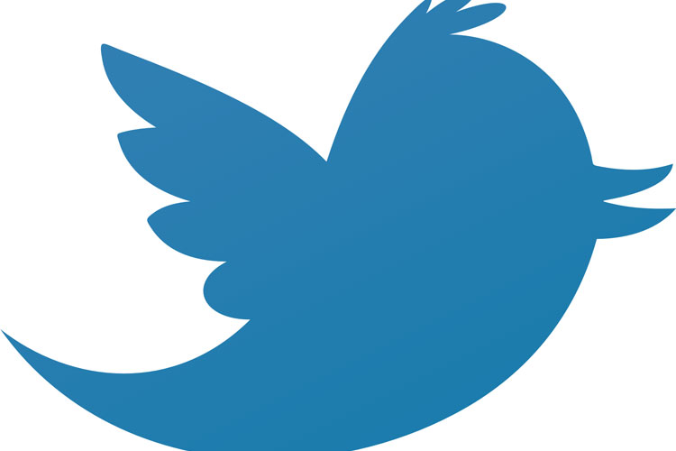 Twitter+bird
