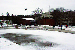 Director of Facilities Management Terry Classen said the campus mall may not have a healthy layer of grass until mid-summer.