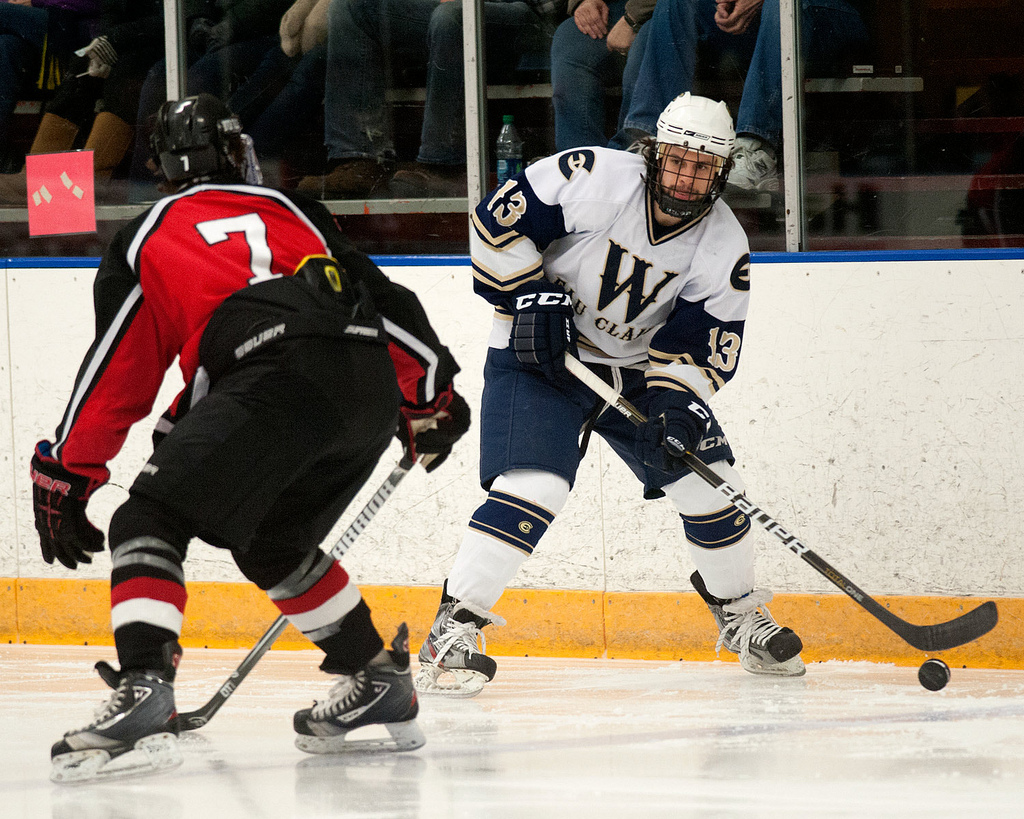 Forward Mark Pustin, who will be a junior next year, said he expects the Blugolds to be a championship contender again next season despite losing 10 seniors.