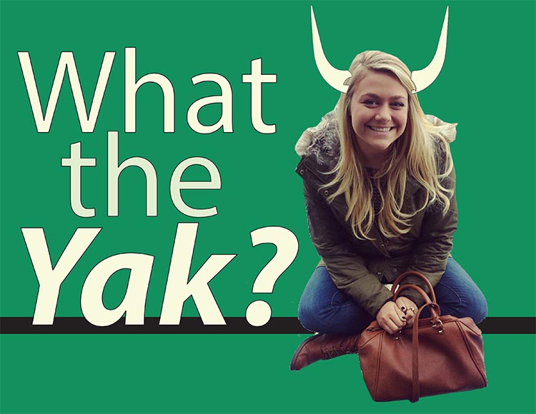 What the Yak?