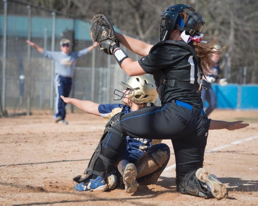 Softball falls to conference competition