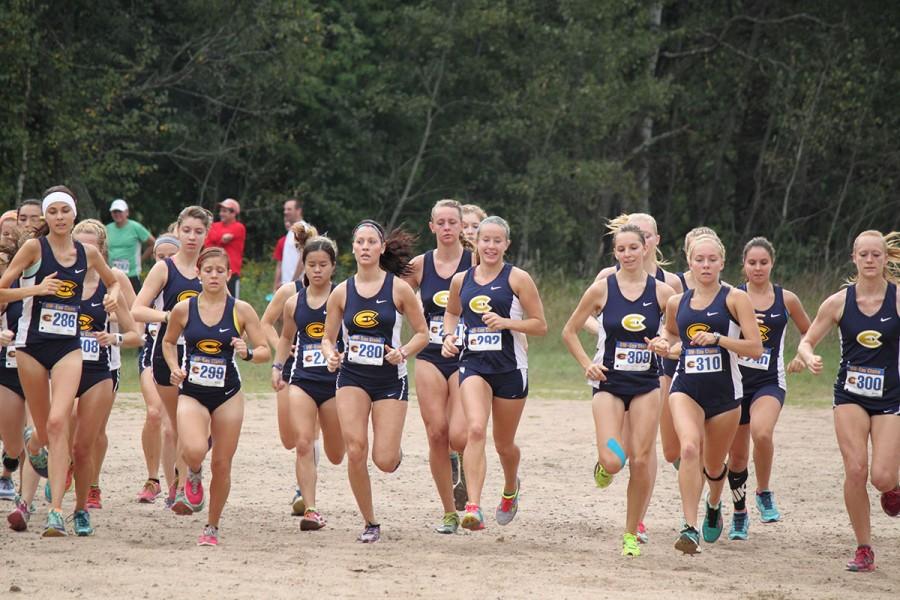 The Blugold women’s cross country team runs in a tight pack at the beginning of their race at the annual Blugold Alumni Meet this past weekend.