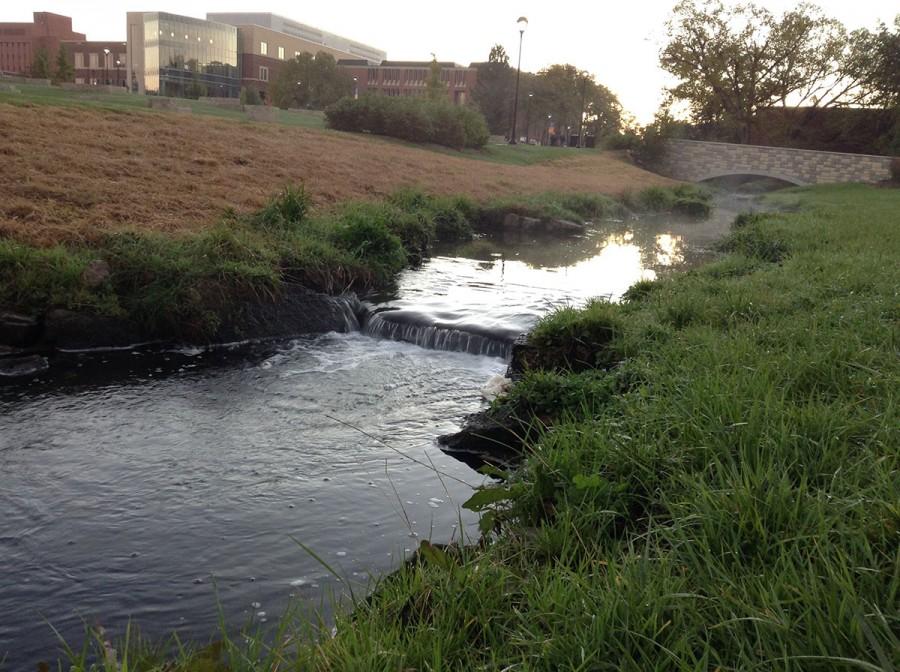 Little Niagara River Restoration Project