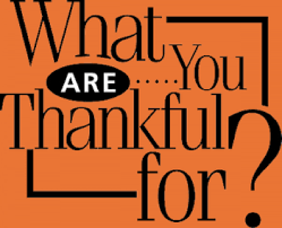 2016+wasn%E2%80%99t+easy+for+many+Blugolds%2C+but%2C+all+things+considered%2C+there%E2%80%99s+still+a+lot+of+to+be+thankful+for.+Students+took+a+moment+to+share+the+bright+spots+they+appreciate.+%28submitted%29