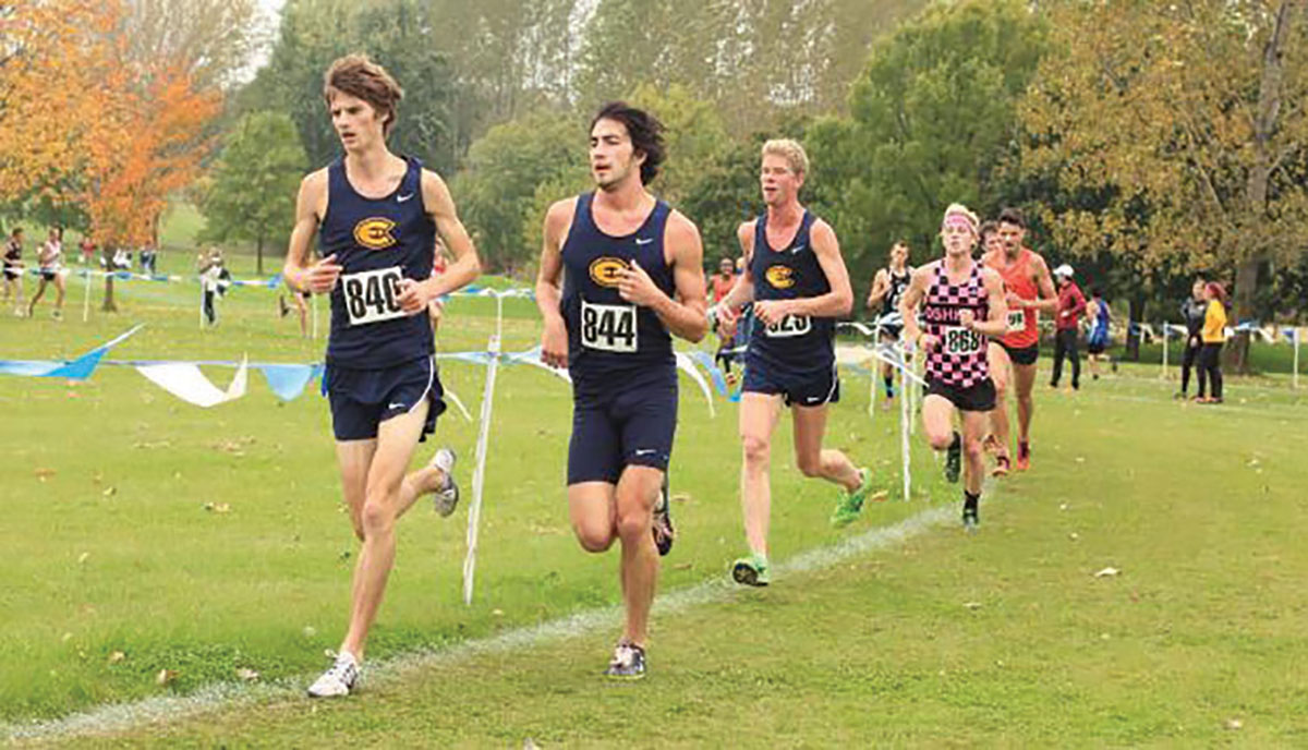 Both the men’s and women’s Blugold cross country teams hope to make it on the podium at the NCAA Division III National Championships this season. 
