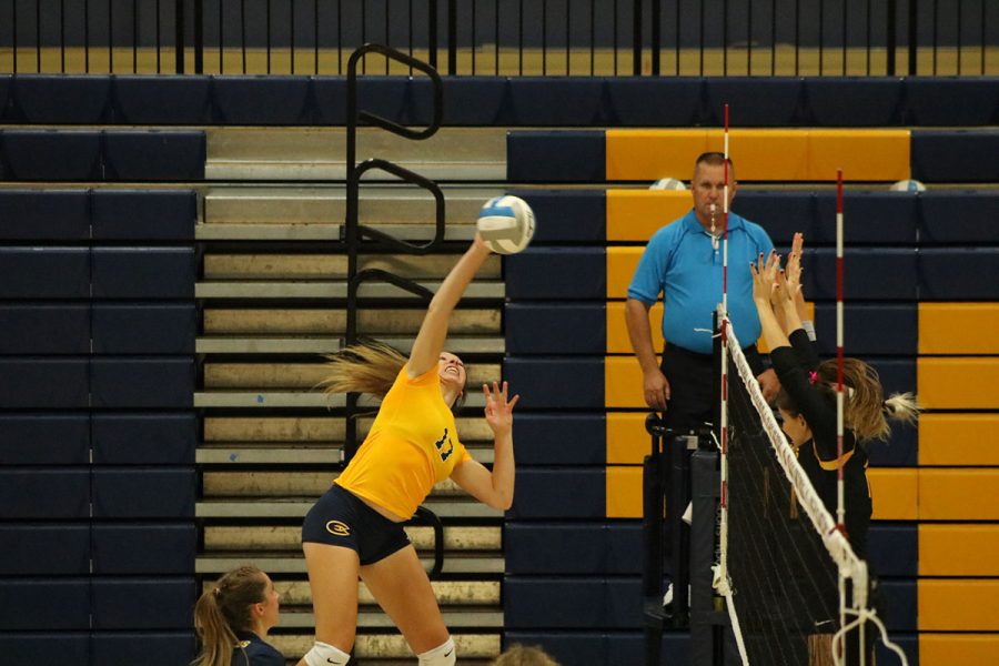 Madelyn Pashibin, a fourth-year biology student, delivers a spike against Gustavus.
