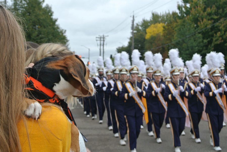 Even furry friends were entranced by the Blugold Marching Band. 