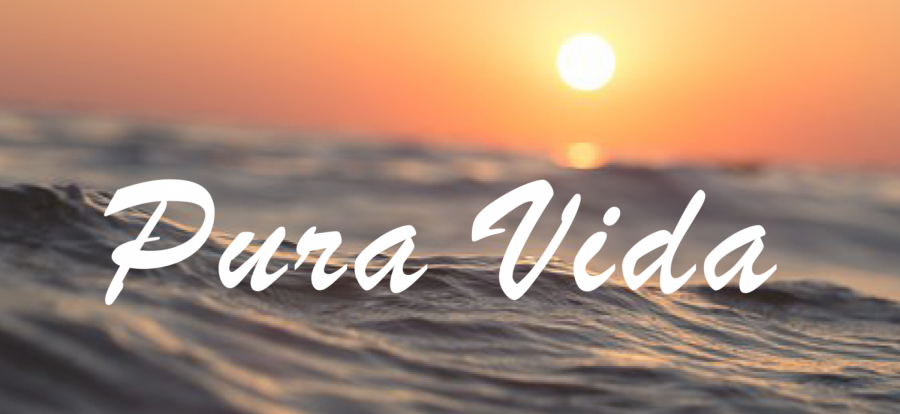 Pura Vida-01