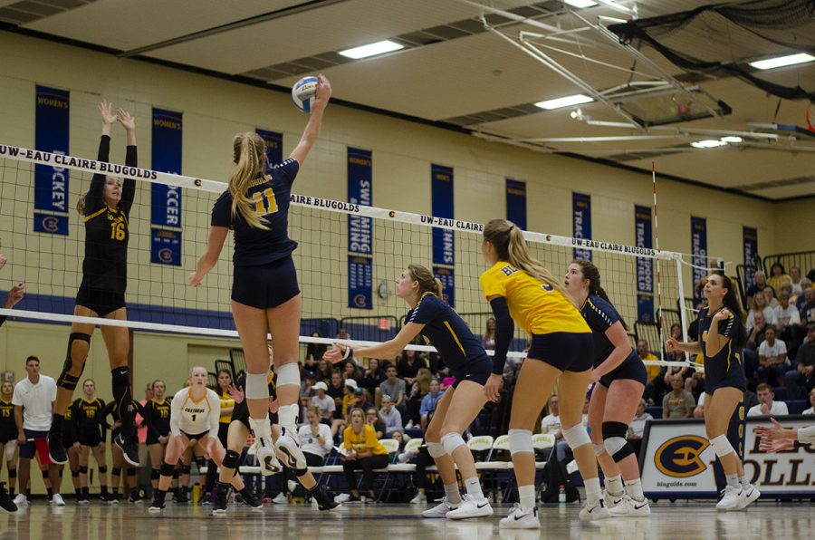 Mackenzie Bachmann jumps up to spike down the ball as Gemma Robey of Gustavus Adolphus prepares to block the hit. Meanwhile, the Blugolds on the court gather to pick up the block.