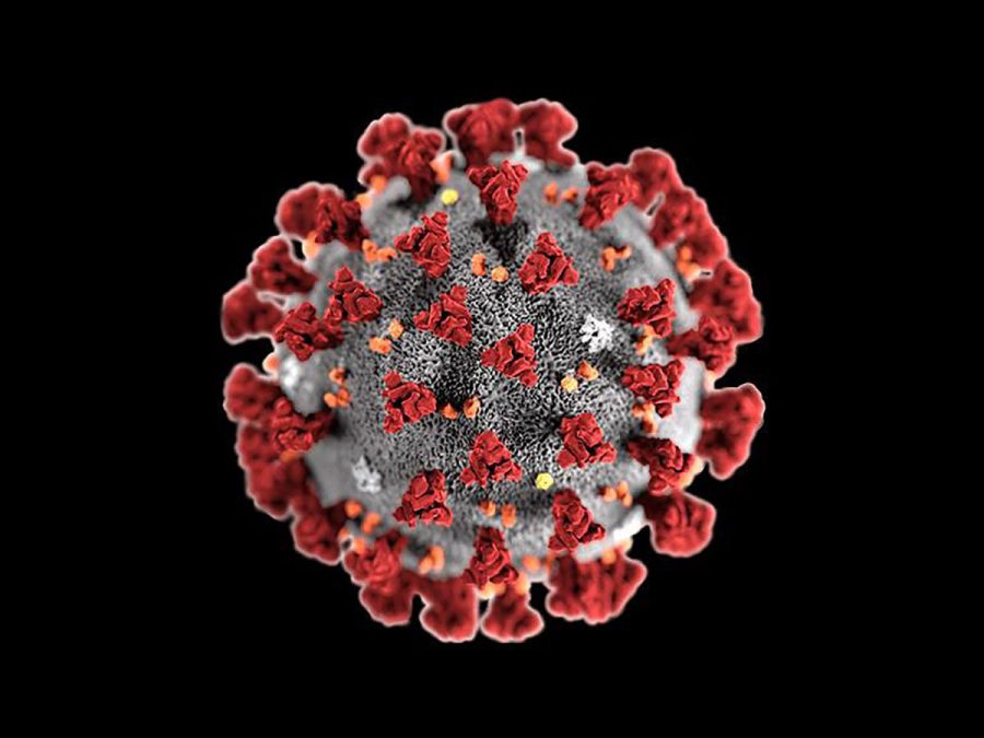 Coronavirus is named for the crown-like structure of the virus. The strain of coronavirus that is causing the worldwide pandemic is known as COVID-19.