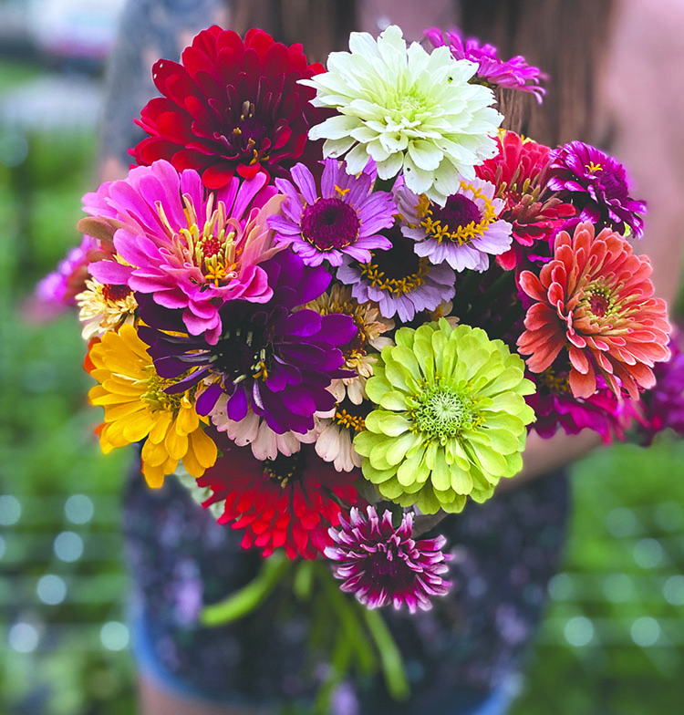 Fresh flowers are enough to brighten anyones home, especially if those flowers are locally sourced.