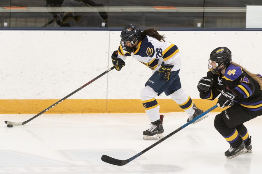 The+UW-Eau+Claire+women%E2%80%99s+hockey+team+opened+their+season+with+two+games+against+UW-Stevens+Point.