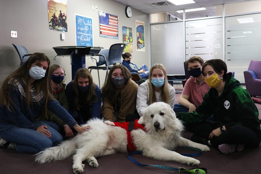 Bumble, the 6 ½ year old Great Pyrenees dog, comes to UWEC to visit Blugolds before finals week. 