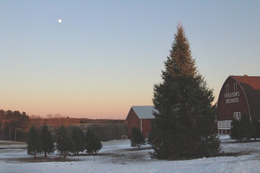 Ferguson’s Orchards is open Friday through Sunday from 10 a.m. to 5 p.m. until Dec. 18 for the holiday season and admission is free. Visitors can tour the farm on a holiday hayride, plus explore many more amenities.