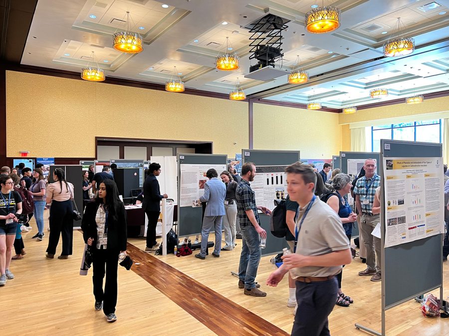 Student poster sessions in the Ojibwe Ballroom of Davies Student Center.
