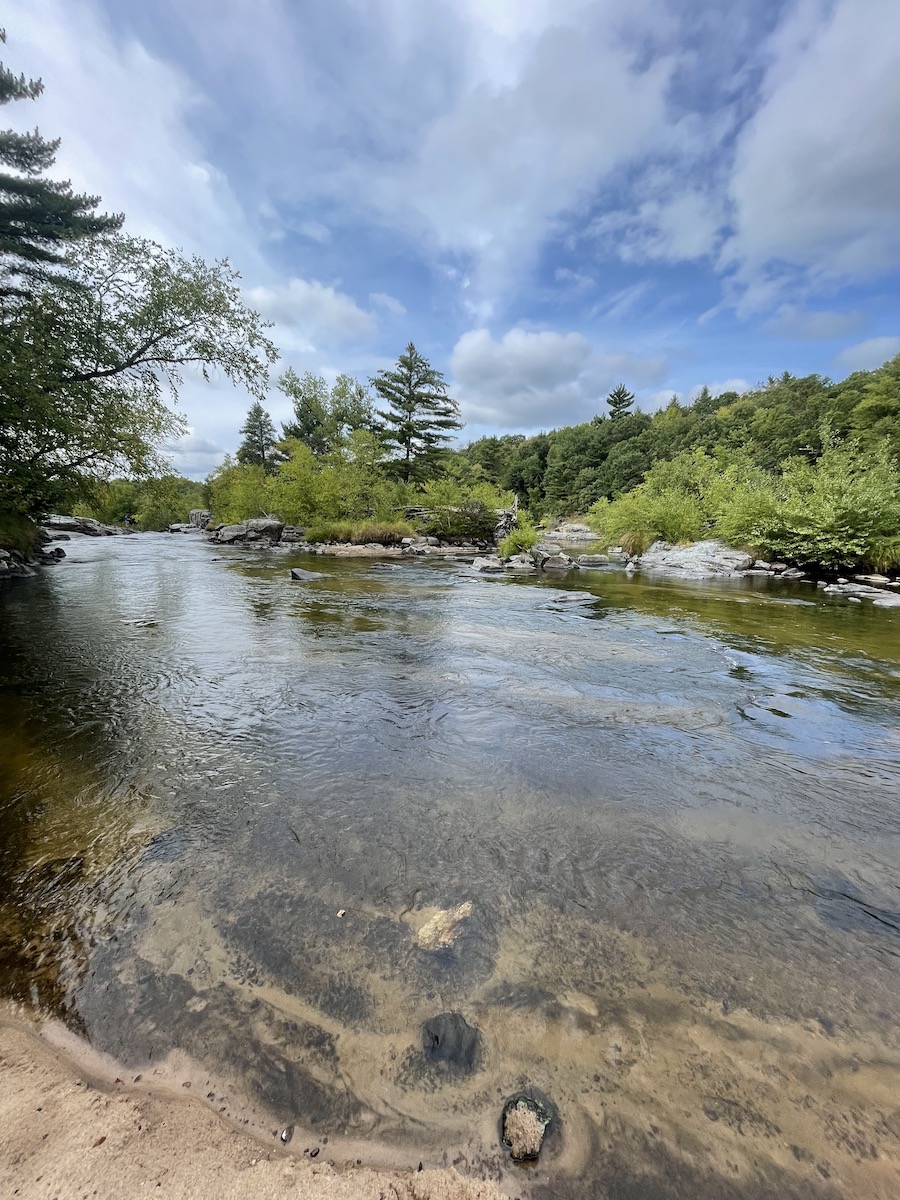 A beautiful picnic view at Big Falls County Park.