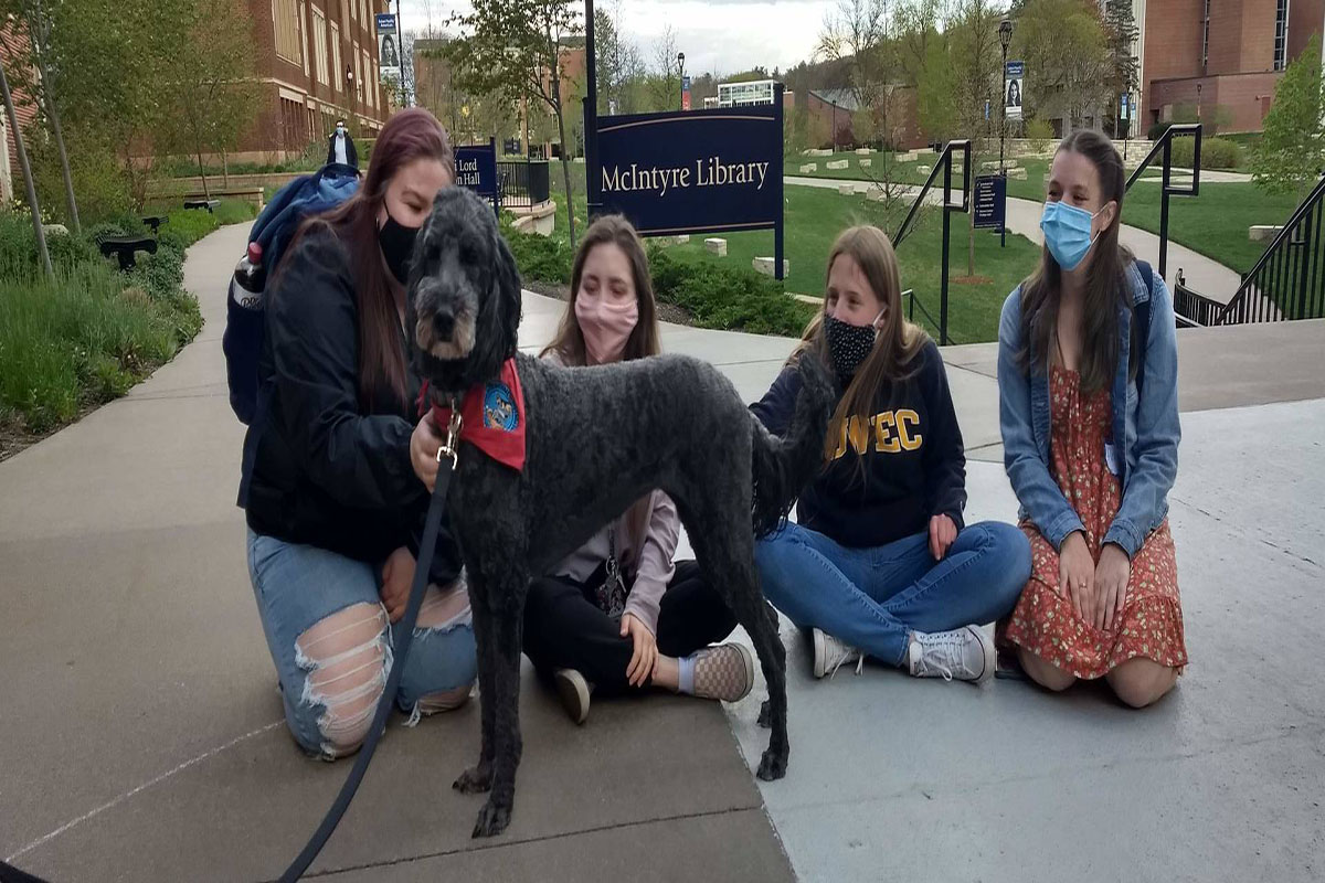 Students enjoying time with a therapy dog on campus (photo from the UWEC website)