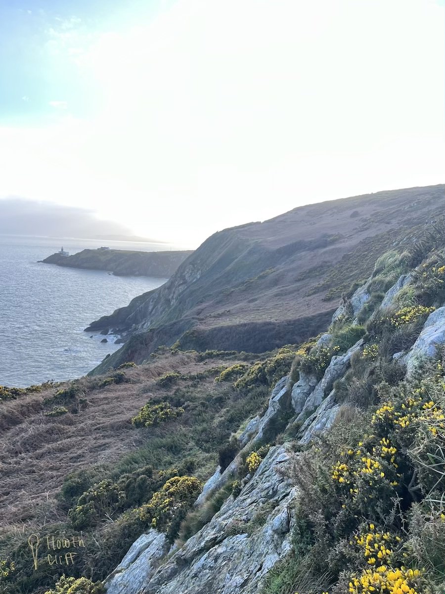 The cliffs of Howth were set alight with tiny yellow gorse flowers