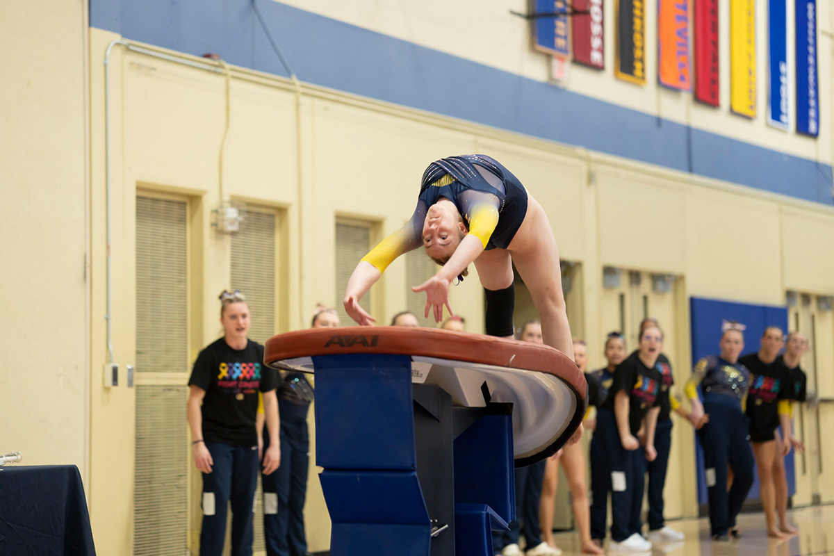 Third-year Harriet Toth attempts on the vault.
Photo used with permission from Bill Hoepner.