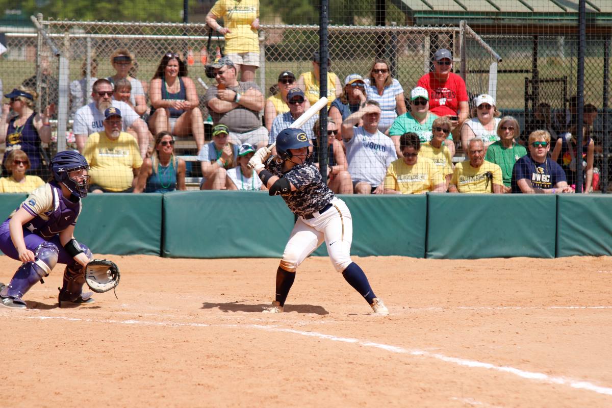 The Blugolds at bat. These games brought the Blugolds to 10-6 overall for the season so far.
Photo used with permission from UWEC Sports Information.